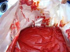 Drummed tomato paste 36-38%