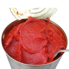 canned tomato paste 18-20%