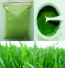 Organic Barley Grass Powder JAS certified Organic Health Supplement