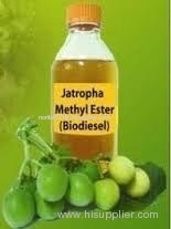 Jatropha Oil / Jatropha Oil