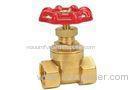 CE Brass Water Fountain Equipment Fountain Gate Valve SS304 NPT Female Thread