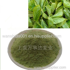 60-200mesh Mulberry Leaf Powder No Additive Pure Manufacturer Direct Sale