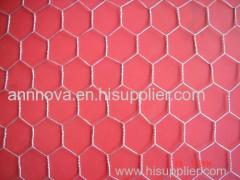 So Beautiful Hexagonal Netting