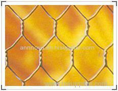 So Beautiful Hexagonal Netting