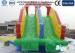 Double Lanes Inflatable Water Slides Game With Removable Swimming Pool