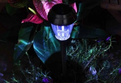 Mini solar powered led light