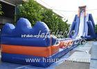 Outdoor Residential Hippo Inflatable Water Slide Rental With Durable Vinyl