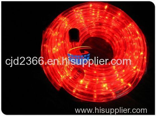 10m Steady LED Rope Light