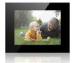 Black HD 12 Inch Acrylic POP LCD Display Lcd Photo Frame With Video Auto Play