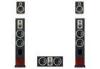 2.1 / 5.1 Surround Sound Lifestyle Passive Speaker Wireless Home Theatre Systems