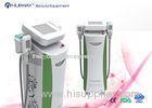 2 Handle Cryolipolysis Slimming Machine , Vacuum Beauty Equipment