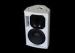 250W Powered Disco Sound Equipment Good Sound With 10 Inch LF Driver
