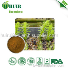 Huperzia Serrata extract 5% huperzine a bulk powder natural product