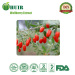 50% lycium barbarum polysaccharide Wolfberry Extract Wolfberry Extract Powder Goji berry extract