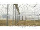 16Mn / 20MN2 ERW Carbon Steel Structural Pipe / ERW Welded Tubes For Agricultural Greenhouse