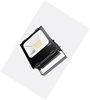 CRI 75 Commercial Led Garden Floodlight 100watt for Station , Dock , Deck