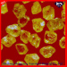synthetic diamond for segment