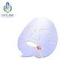 Hyaluronic Acid Natural Silk Moisturizing Face Mask Sheets 24x20cm