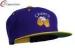 Embroidered Snapback Baseball Caps Purple Gold Cheers with Beer Mugs