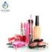 OEM / ODM Professional Makeup Cosmetics Shinny Color Lipstick