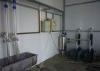 Fishbone Milking System with Stainless Steel Milk Receiving Container , Time-Saving Parlor