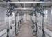 Layout Compact Milking Equipment Herringbone Milking Parlor For Goat Farm