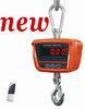 Industrial Grade IP65 Hanging Weight Scale / Digital Crane Scale 30Kg - 300kg