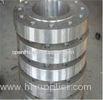 Q235A ASTM A234 40 - 500mm Carbon Steel Forged Steel Flange connection