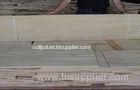 White Natural Ash Wood Veneer Slice Cut 0.5mm Thickness For Interior Finishing