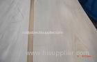 0.5 mm Crown Cut White Birch Veneer With Light Yellow Grain