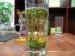 Aroma 100% Organic Nature Huangshan Mao Feng Tea With EU Standard