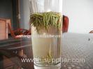 Famous Pure High Mountain Yun Wu Green Tea Long Lasting Fragrance