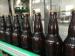 Aseptic Beer Bottling Equipment 2 in 1 Filling and Capping Machine with 24 Head