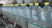 Industrial 5L Automatic Liquid Bottle Filling Machine For PET Bottles 400-8000BPH