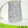 Bendable Ip65 / Ip67 Waterproof Led Rope Lights , 12v / 24v