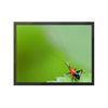 High Resolution Color TFT Touch LCD Monitor With Wide Viewing Angle 19 Inch