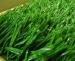 TenCate Thiolon Soft Cricket Synthetic Turf Eco Friendly 50mm ArtificialGrass