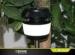 HIgh Quality ABS Material White/Black 8 LEDs Outdoor Solar Motion Lights for Garden/Farm/Path/Readin