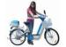 24'' e bike 36V 10Ah 250w brushless motor electric bike for lady Steel Frame