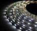 DC12V 12Watt Low Voltage LED Strip Lights Warm White / White SMD 2835 120led