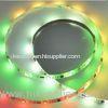 DC12V / 24V RGB 5050 LED Digital Strip Light For Festival / Christmas Decoration