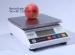 Precision Electronic Balance Weighing Scale 300g 0.1g Laboratory Balancing Scale