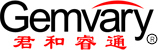 Shenzhen Gemvary Technologies Co.,Ltd