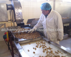 Chinese best quality Walnut kernel