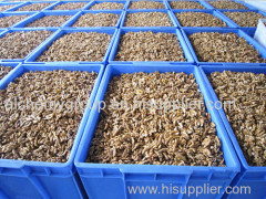 Chinese best quality Walnut kernel