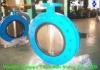 Double Flange U Type Butterfly Valve Worm Gear Operated Butterfly Valve