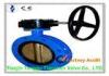 Large Diameter U Type Butterfly Valve DN50 - DN1200 with gear box