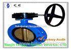Large Diameter U Type Butterfly Valve DN50 - DN1200 with gear box
