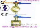 Small Diameter Pipes Corrosion Resistant Valves , Threaded Connections Angle Valve