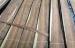 Santos Rosewood Quarter Cut Veneer With Fine Straight Grain
